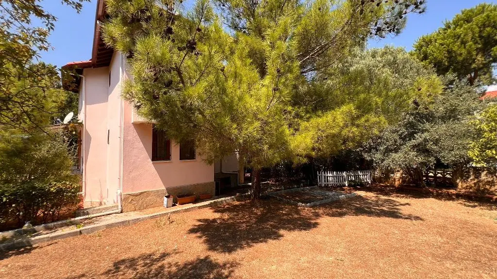 Garden area